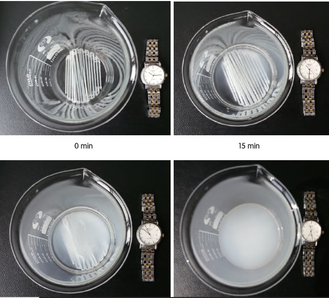 PVA-filament-flashforge-suda-cozunme.jpg (124 KB)