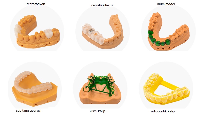 dental-calisma-model-focus.jpg (68 KB)