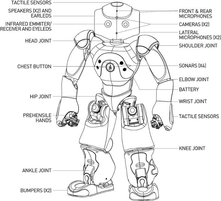 nao-robot-bolumler-cizim.jpg (219 KB)