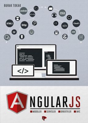 Angular JS