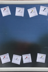  - Beyaz Çerçeveli Renkli Yüzey Manyetik Pano - 54 x 70 cm, 10 Adet Mıknatısla