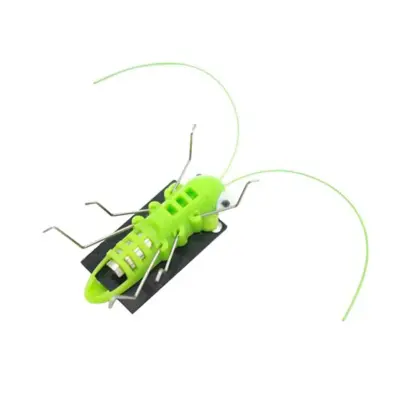 Kendin Yap Mini Solar Robot Çekirge