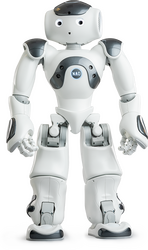 NAO İnsansı Robot Platformu V6 - Eğitmen (Educator) Versiyonu - Thumbnail