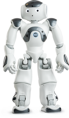 NAO İnsansı Robot Platformu V6 - Eğitmen (Educator) Versiyonu