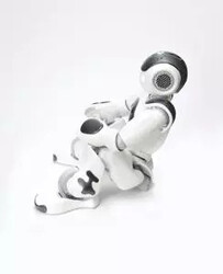 NAO İnsansı Robot Platformu V6 - Eğitmen (Educator) Versiyonu - Thumbnail