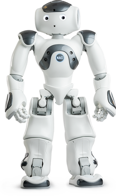 Nao İnsansı Robot Platformu - V6 - Eğitmen (Educator) Versiyonu
