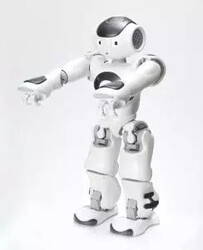 Nao İnsansı Robot Platformu - V6 - Eğitmen (Educator) Versiyonu - Thumbnail