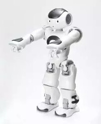 NAO V6 İnsansı Robot (Nao6) - Generative AI Destekli İnteraktif Humanoid - Thumbnail
