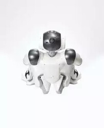 NAO V6 İnsansı Robot (Nao6) - Generative AI Destekli İnteraktif Humanoid - Thumbnail