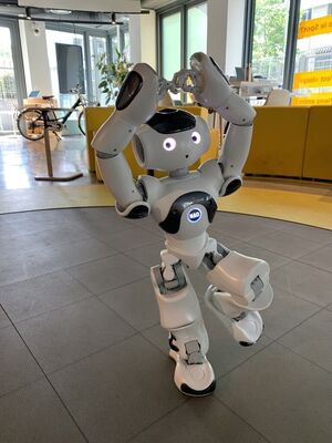 NAO V6 İnsansı Robot (Nao6) - Generative AI Destekli İnteraktif Humanoid
