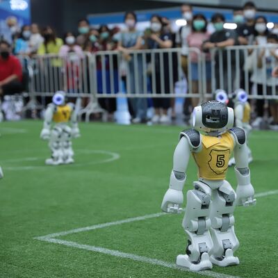 NAO V6 İnsansı Robot (Nao6) - Generative AI Destekli İnteraktif Humanoid