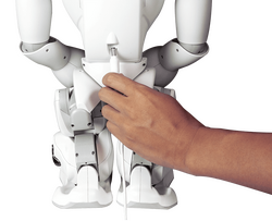NAO V6 İnsansı Robot (Nao6) - Generative AI Destekli İnteraktif Humanoid - Thumbnail