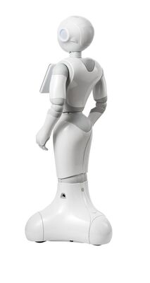 Pepper - Academik Versiyon - 2 Yıl Garantili - 2