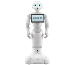 Pepper - Academik Versiyon - 2 Yıl Garantili