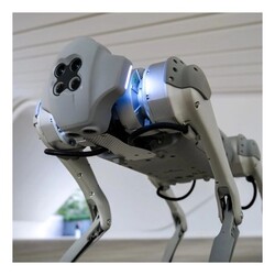 Unitree Go1 Edu Robot Köpek (Quadruped Robot) - Thumbnail