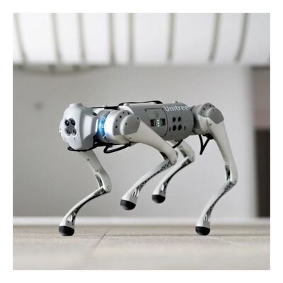 Unitree Go1 Edu Robot Köpek (Quadruped Robot)