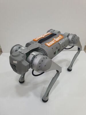 Unitree Go1 Edu Robot Köpek (Quadruped Robot)