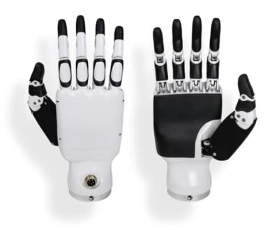 Unitree H1 Humanoid Uyumlu Robot El